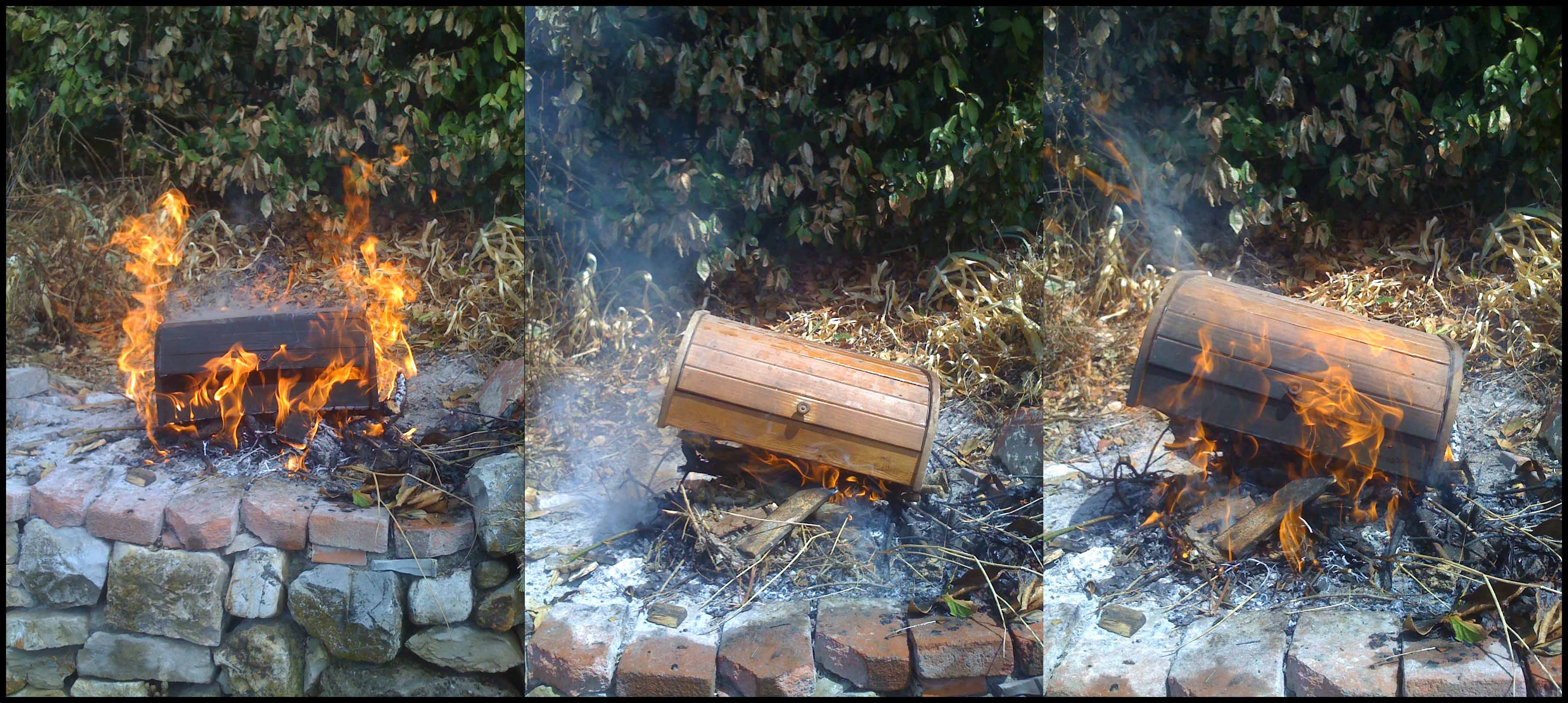 fuoco improponibile scolopendre barbecue